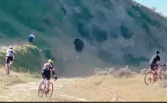 Viral Video: Three Cyclists Were Attacked By the Raging Bull - Sakshi