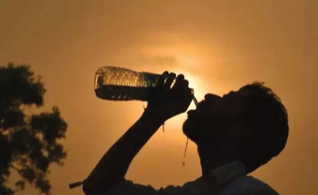 Summer Care Tips: Symptoms Of Sun Stroke And Remedies In Telugu - Sakshi