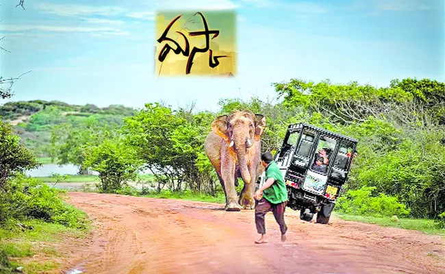 Sri Lanka Yala National Park: Elephant Try to Lift Tourist Vehicle - Sakshi
