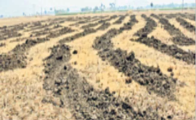 Agricultural Scientists Say Nutrients In Pond Soil For High Yields - Sakshi