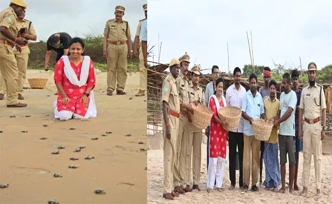 Measures for Conservation of Turtles Coast of Suryalanka in Bapatla - Sakshi