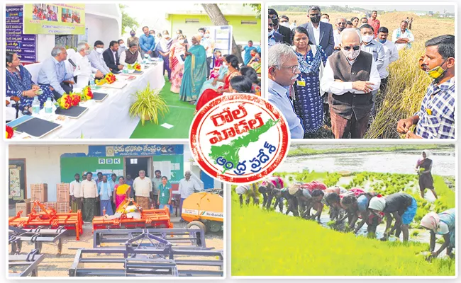 Andhra Pradesh cultivation practices inspire country - Sakshi