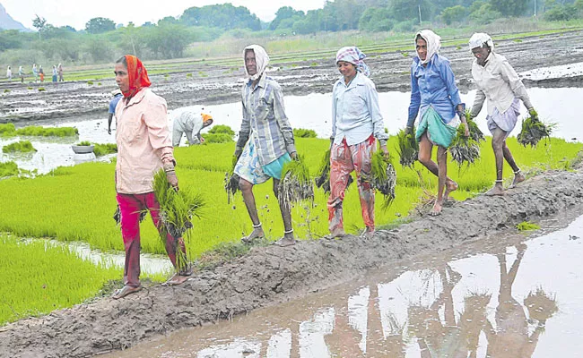 Silent Revolution in Andhra Pradesh Agriculture: Ummareddy Venkateswarlu - Sakshi