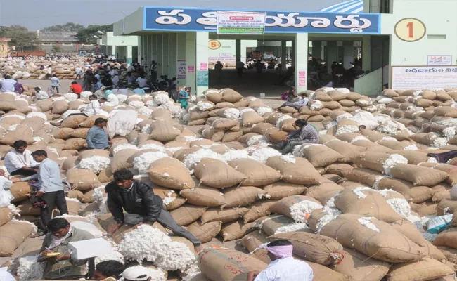 Cotton Prices Touch 50 Year High In Warangal Market - Sakshi