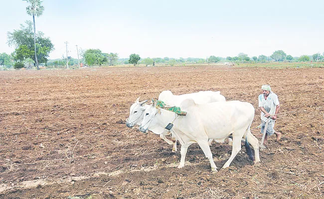 Monsoon Farming Season Begin In Telangana - Sakshi