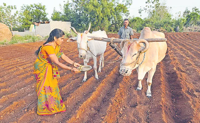 Yeruvaka: Agricultural Issues and Challenges in Telangana By Sarampally Malla Reddy - Sakshi