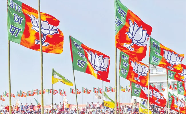 BJP Fights Over Sarpanchs Problems In Telangana - Sakshi