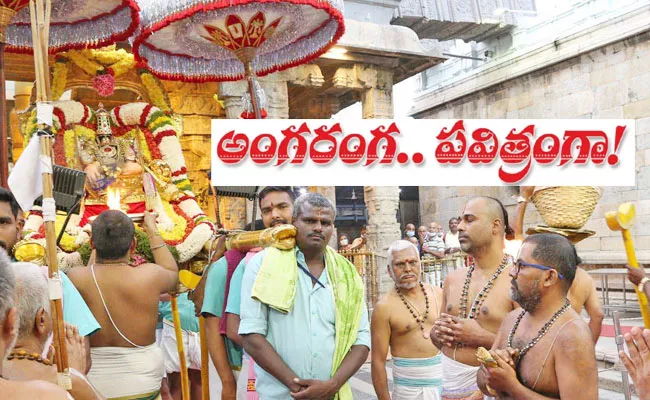 Tirumala Pavithrotsavam 2022: History, Importance, Rituals, Ankurarpana - Sakshi