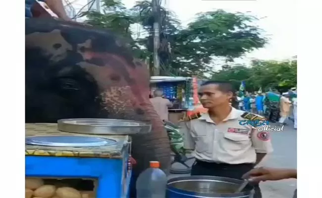 Viral Video: Elephant Standing By Stall And Enjoying The Pani Puri - Sakshi