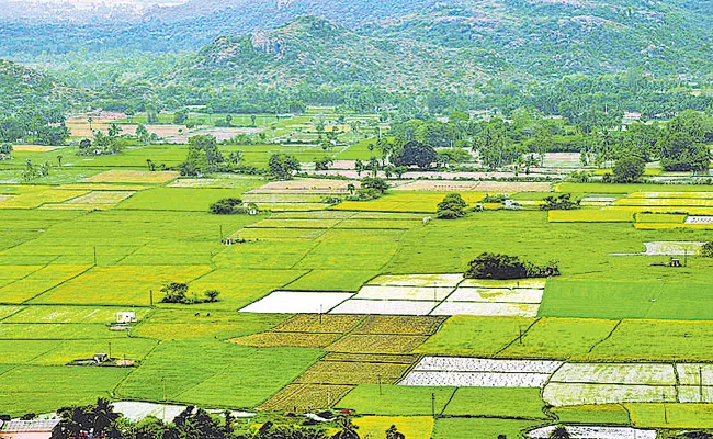 Andhra Pradesh government Focus on restricted lands - Sakshi
