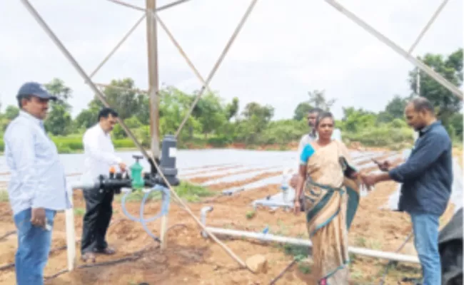 Andhra Pradesh Govt 90 Percent Subsidy For Drip Irrigation In Agri Sector - Sakshi