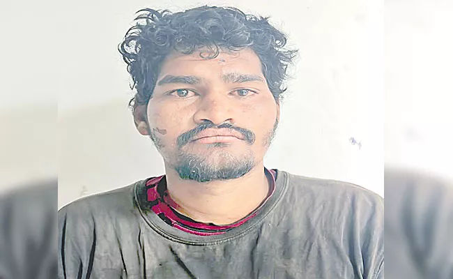 Man Arrested For Killing Three Stray Dogs In Fire Hyderabad - Sakshi