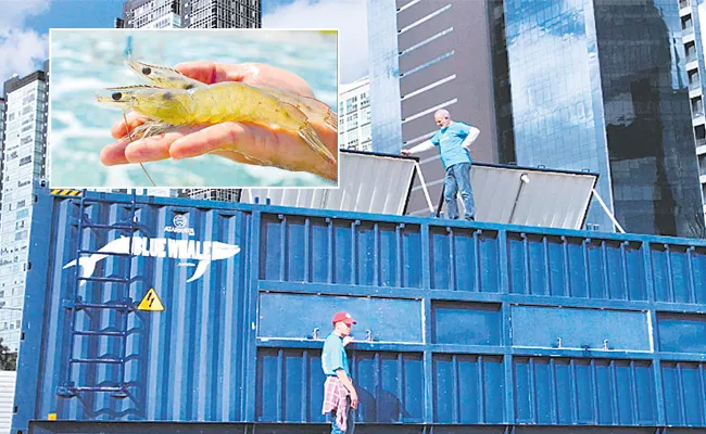 Atarraya Announce Container Shrimp Farming Research Project - Sakshi