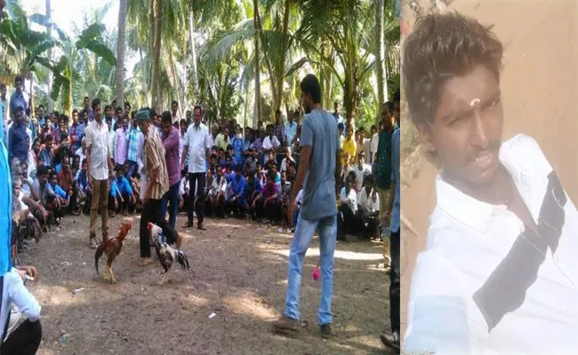 Sankranthi: Man Died After Cock Knife Pierces In East Godavari - Sakshi