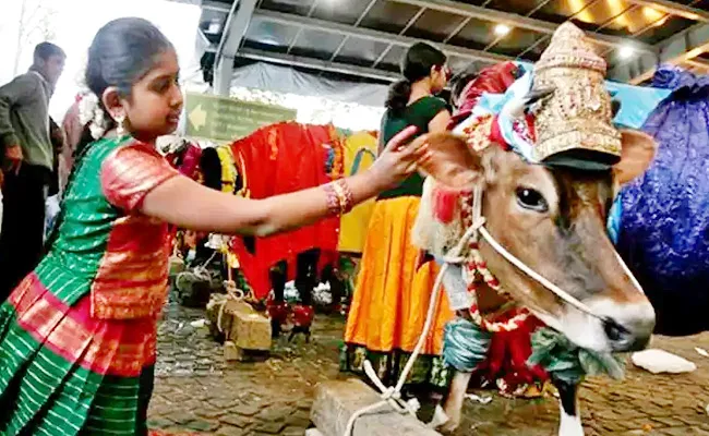 Sankranti 2023 Kanuma Festival Significance History Poli Custom - Sakshi