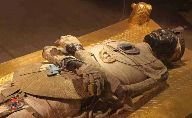 UK Museums Oppose The Word Mummy - Sakshi