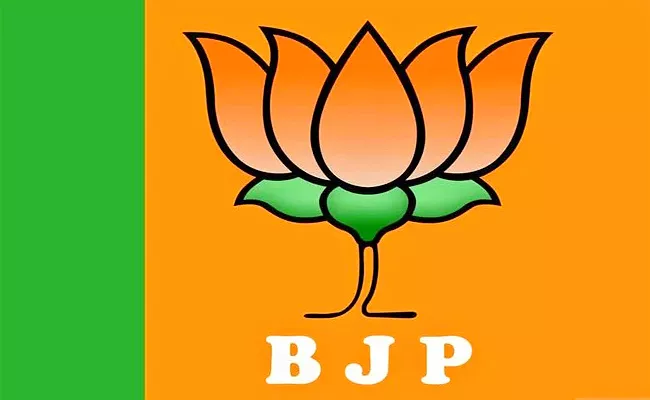 Differences In AP BJP Seniors Anjaneyulu Kumaraswamy Resigned - Sakshi