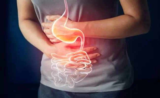 Gastrointestinal Diseases: Reasons For Burning In The Stomach - Sakshi