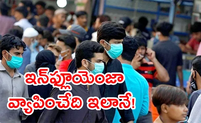 H3n2 Virus Health Experts Suggested Masks Better Hygiene - Sakshi