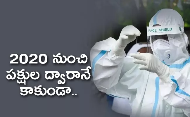 H5n1 Bird Flu Outbreak Next Pandemic Chances - Sakshi