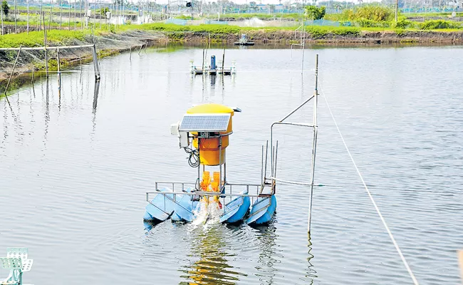Aqua robot for shrimp farming Andhra Pradesh - Sakshi