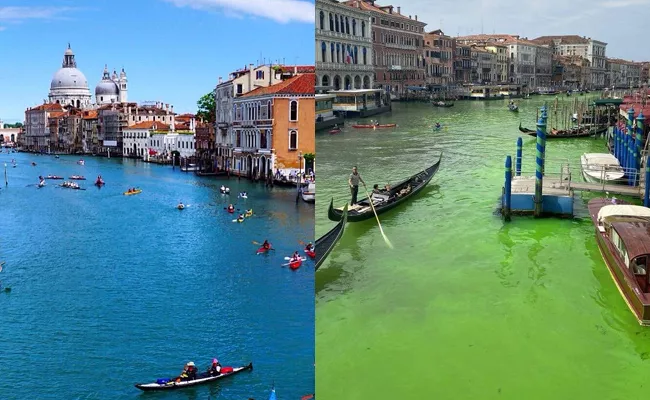 Venice Grand Canal Colour Changed To Green Viral - Sakshi