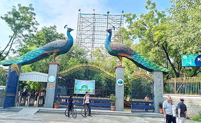 In Hyderabad KBR Park Spot To Peacocks - Sakshi