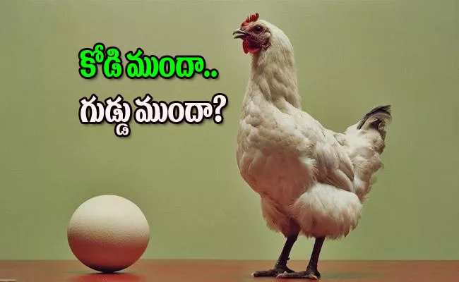 What Came First Chicken Or Egg At Long Last Scientists Solve This - Sakshi