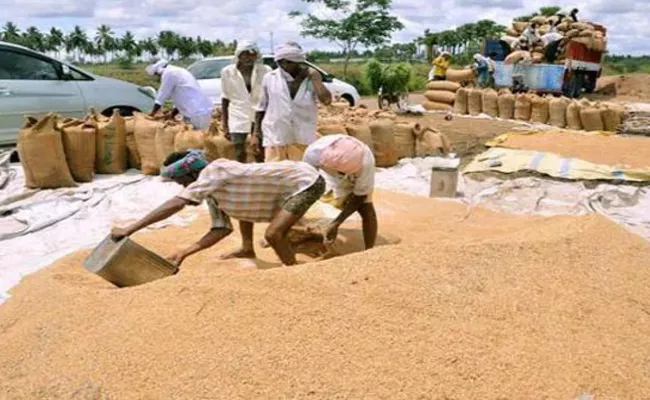 Grain hit a record price in the market - Sakshi