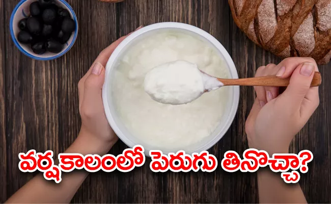 Is Curd Safe In Monsoon Season Nutritionist Reveals Myths And Facts - Sakshi