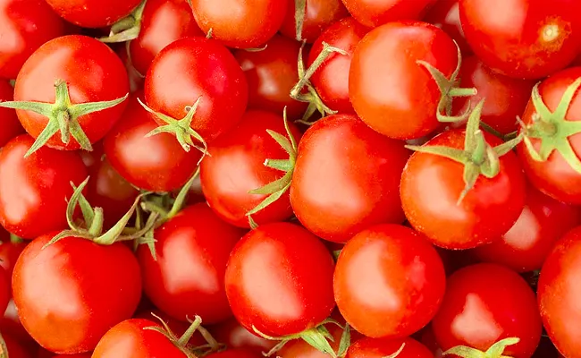 Record Price Of Tomato In Madanapalle Market - Sakshi