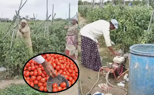 Chittoor Tomato farmer Turns Millionaire Earns Rs 4 Crore In 45 days - Sakshi