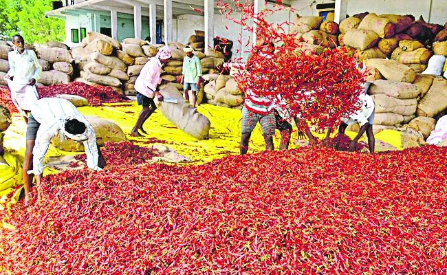 Good demand for Guntur pepper in international market - Sakshi