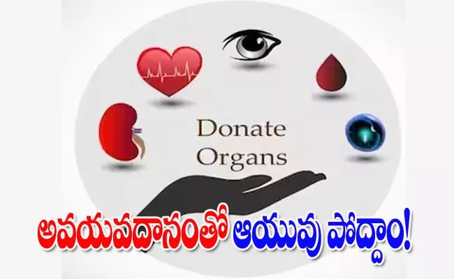 The Power of Organ Donation To Save Lives  - Sakshi