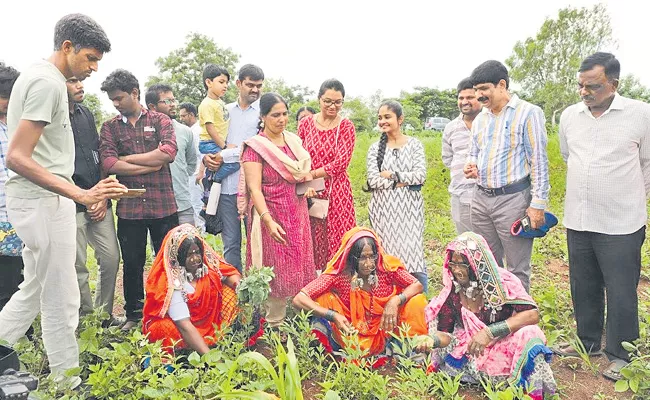 Over 100 of the weeds in the fields are edible - Sakshi