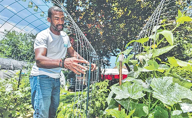 City Farming Named Park City Harvest Problems Of Urban Tenant Farmers - Sakshi