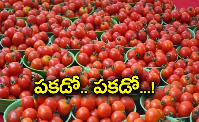 Tomato Price can go up to Rs 300 per kg check the reasons - Sakshi