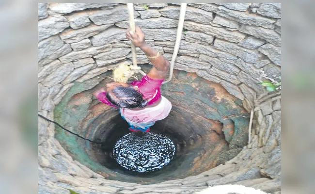 Old Woman Fell In Well With Monkey Attack Fear Sircilla - Sakshi