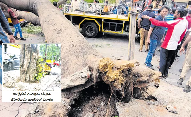 negligence authorities hyderguda huge tree fell - Sakshi