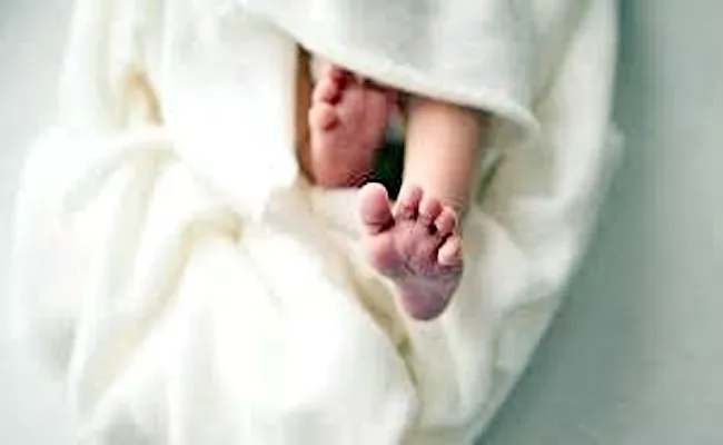 Quadruplets Die Within Hours Of Birth In Jammu And Kashmir Kupwara - Sakshi