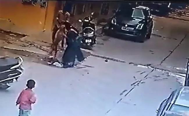 Dog attack On 5 year Old Boy At Tappachabutra Hyderabad - Sakshi