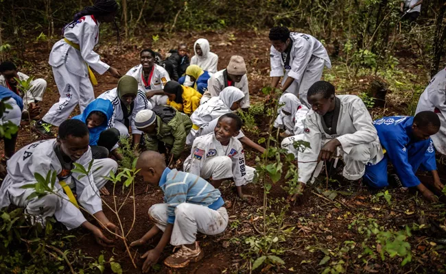 Kenya makes 13 November nationwide tree planting day a public holiday - Sakshi