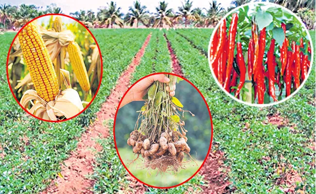 record prices of crop produced in andhra pradesh - Sakshi