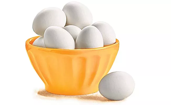 Chicken egg is the all time record in poultry history - Sakshi