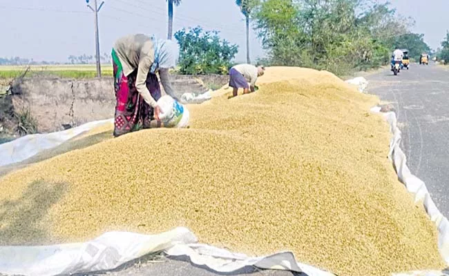 Grain prices hit record highs - Sakshi