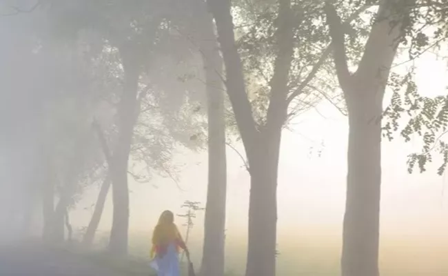 Red Alert Over Dense Fog Cold In Delhi Punjab Haryana On January 1 - Sakshi