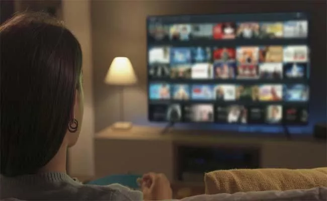Netflix India Company Revenues Up For The Year 2023 - Sakshi