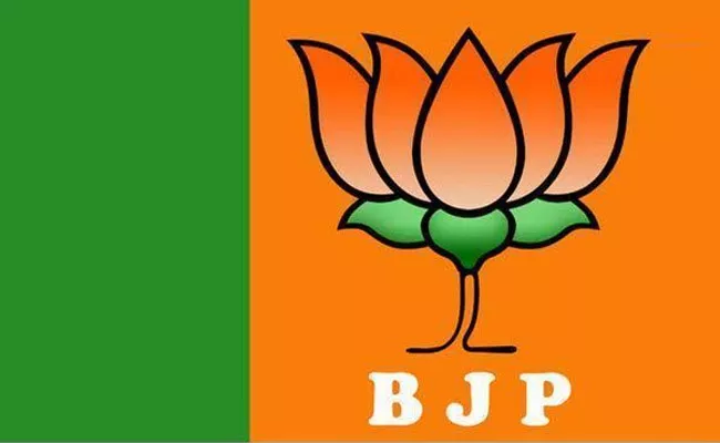 BJP Second List Of Rajya Sabha Candidates - Sakshi