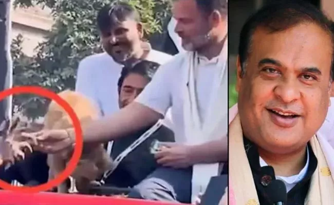 Himanta Sarma claims Rahul Gandhi gave dogs biscuit To worker Video Viral - Sakshi