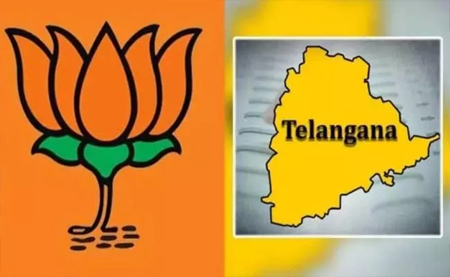 Rss Express Anger On Telangana Bjp Leadership - Sakshi